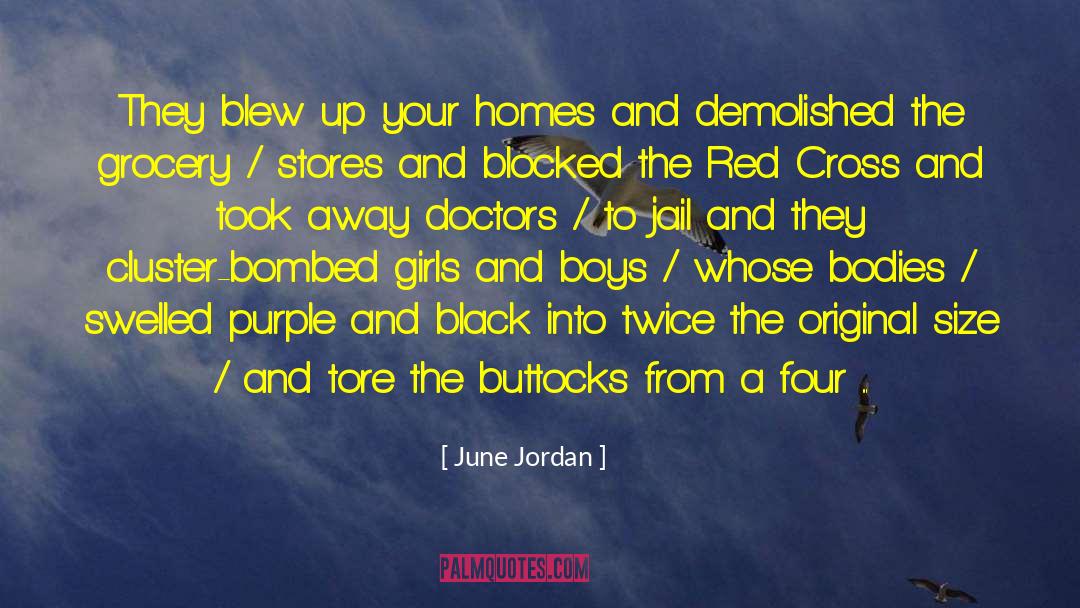 June Jordan Quotes: They blew up your homes