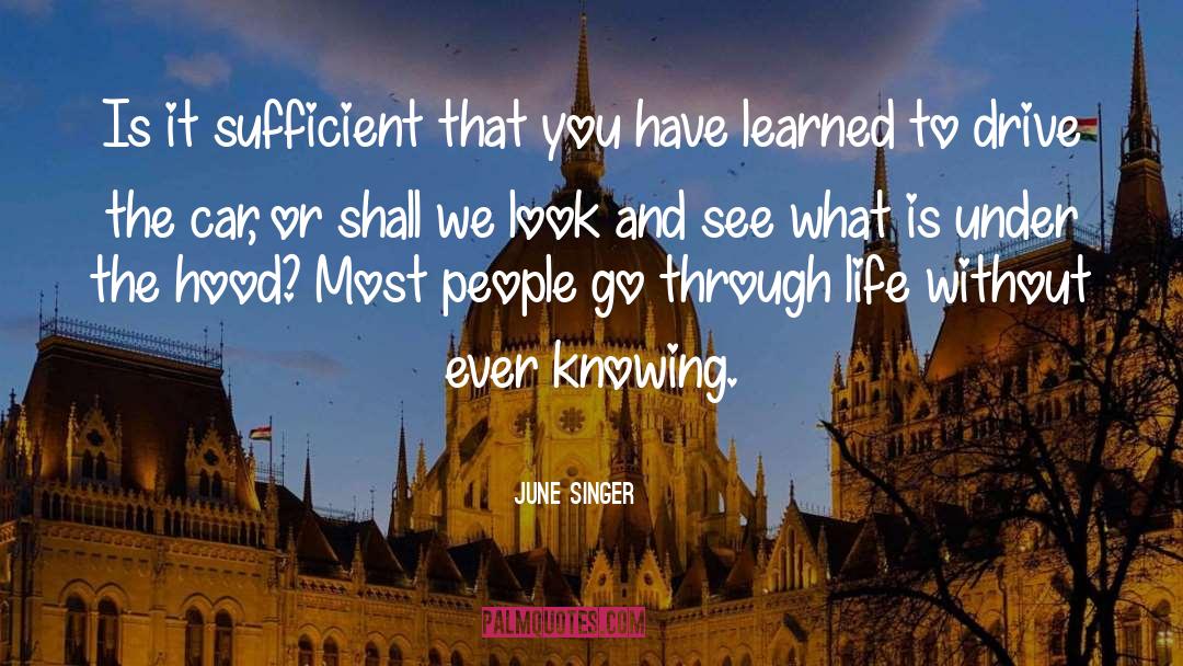 June Singer Quotes: Is it sufficient that you