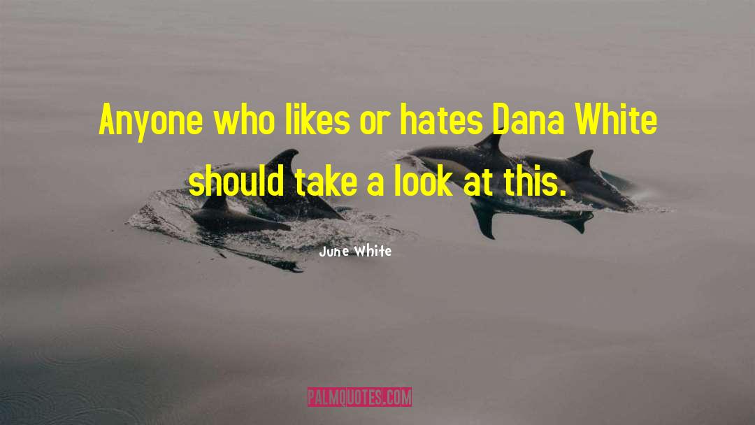 June White Quotes: Anyone who likes or hates