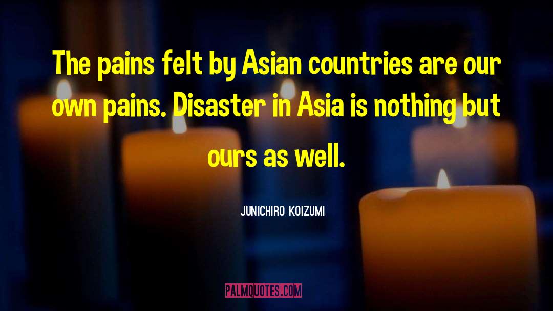 Junichiro Koizumi Quotes: The pains felt by Asian