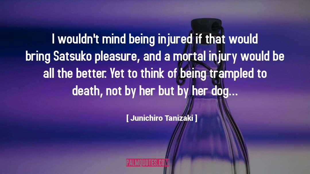 Junichiro Tanizaki Quotes: I wouldn't mind being injured