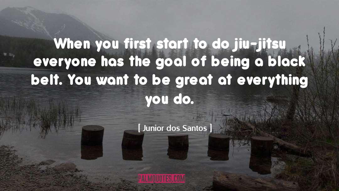 Junior Dos Santos Quotes: When you first start to