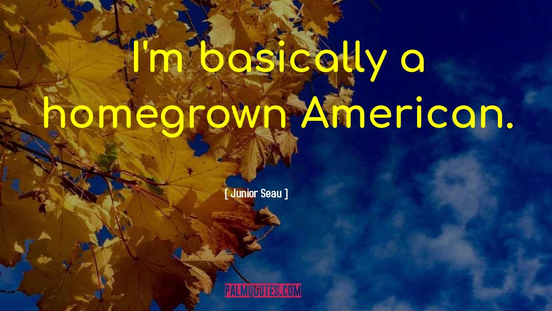 Junior Seau Quotes: I'm basically a homegrown American.