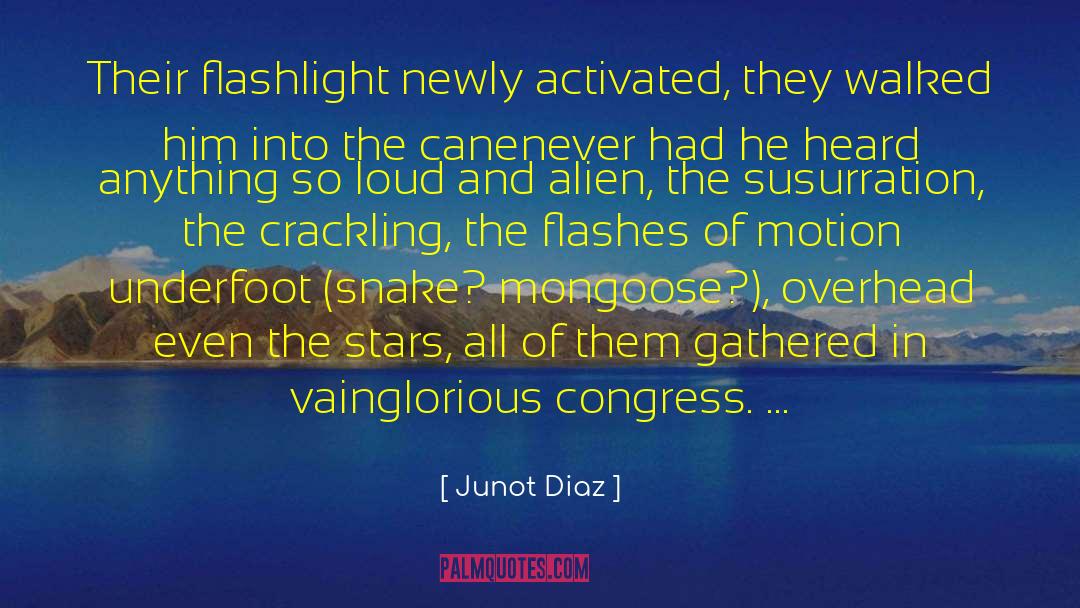 Junot Diaz Quotes: Their flashlight newly activated, they