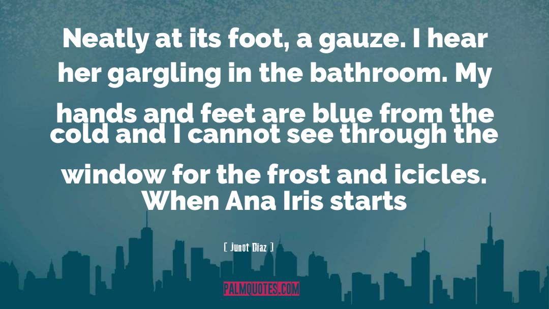 Junot Diaz Quotes: Neatly at its foot, a
