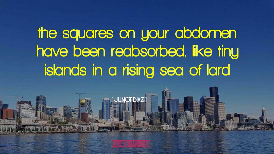 Junot Diaz Quotes: the squares on your abdomen