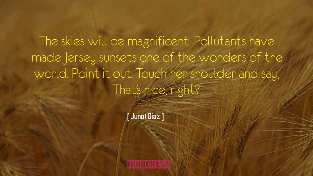 Junot Diaz Quotes: The skies will be magnificent.
