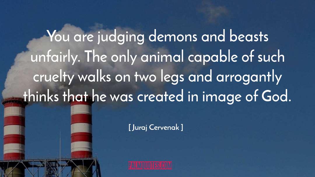Juraj Cervenak Quotes: You are judging demons and