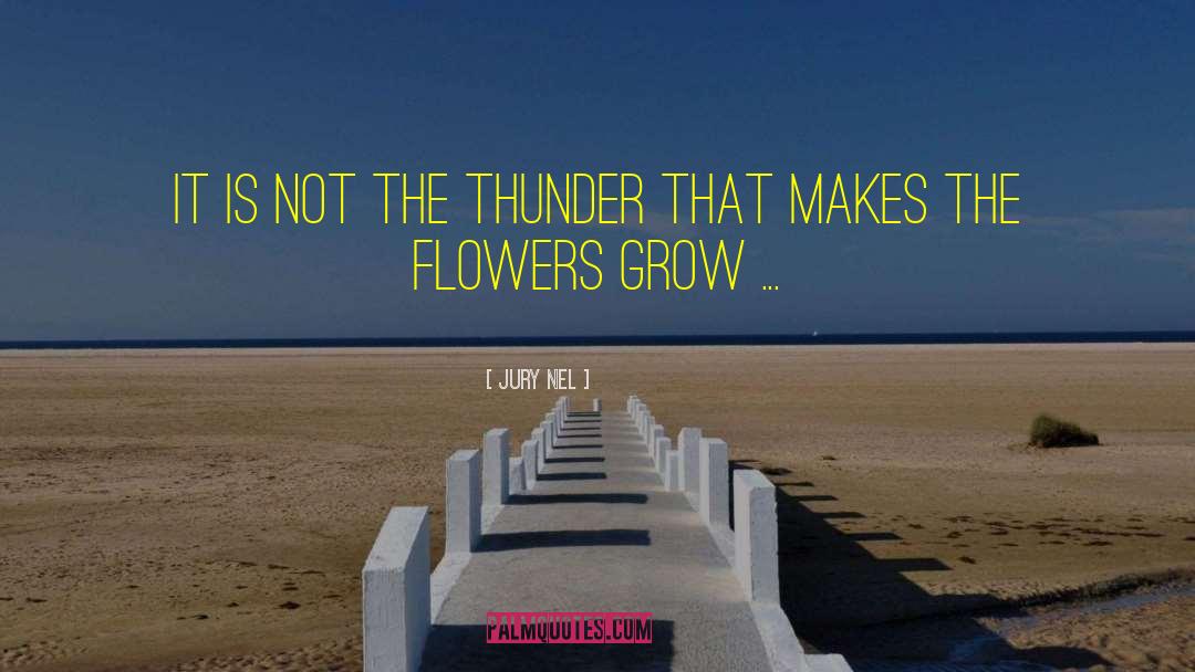Jury Nel Quotes: It is not the thunder