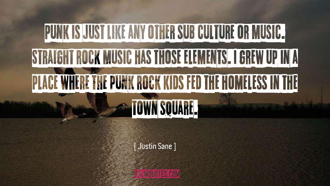 Justin Sane Quotes: Punk is just like any