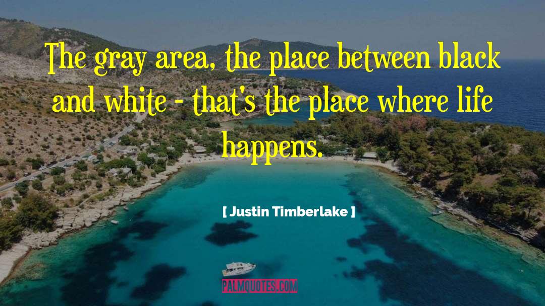 Justin Timberlake Quotes: The gray area, the place