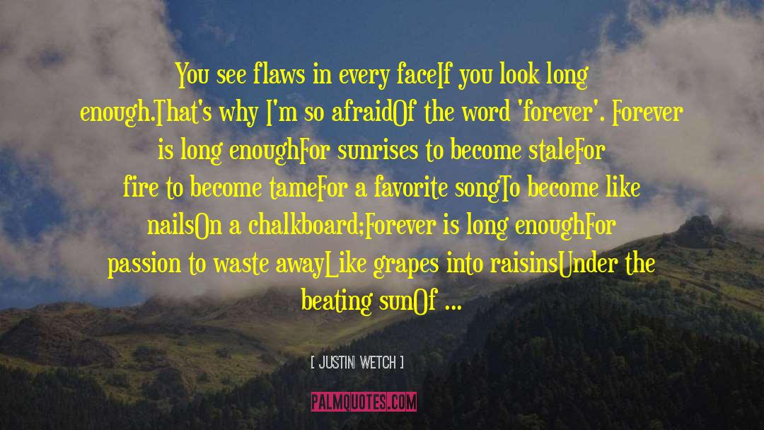 Justin Wetch Quotes: You see flaws in every