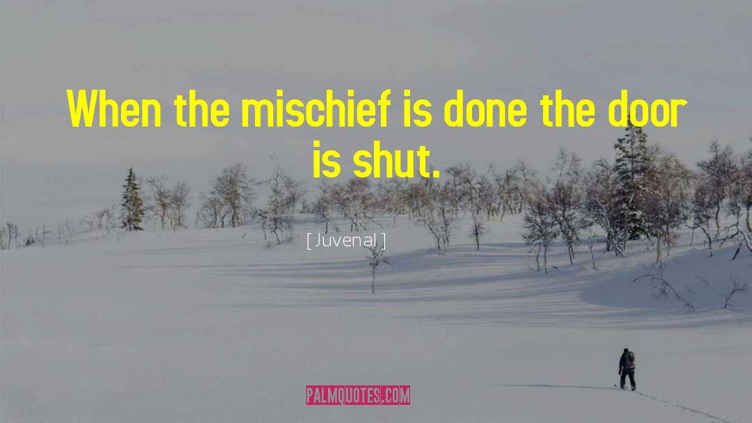 Juvenal Quotes: When the mischief is done