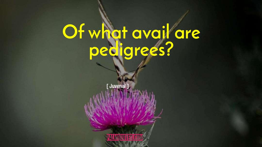 Juvenal Quotes: Of what avail are pedigrees?
