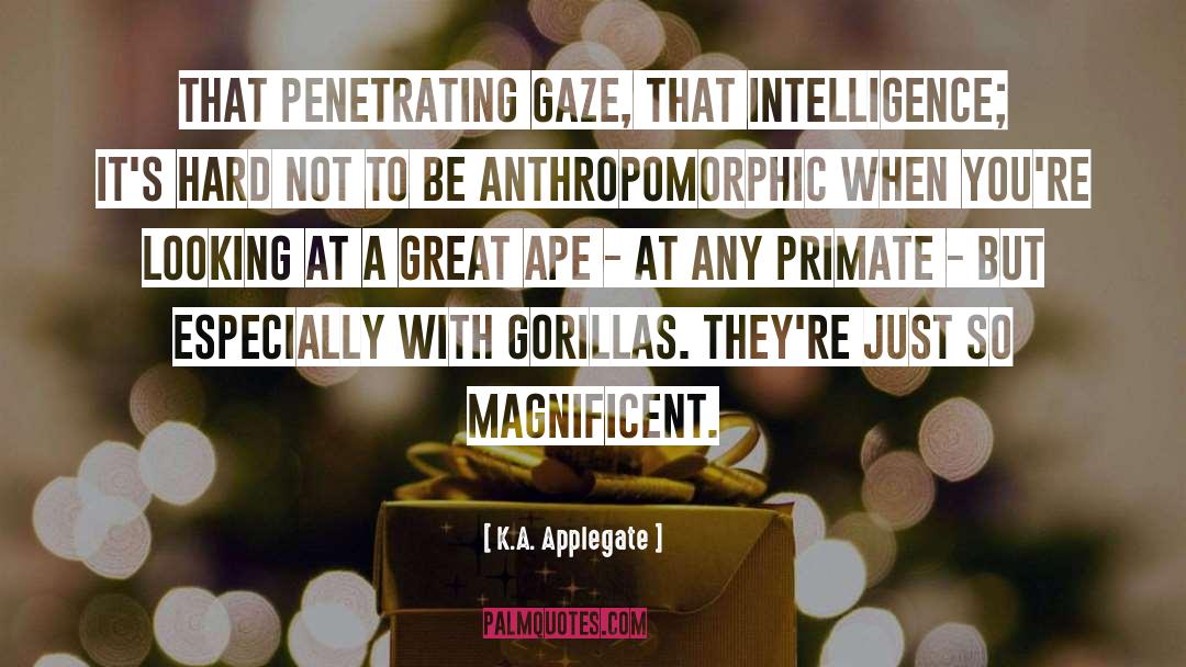 K.A. Applegate Quotes: That penetrating gaze, that intelligence;