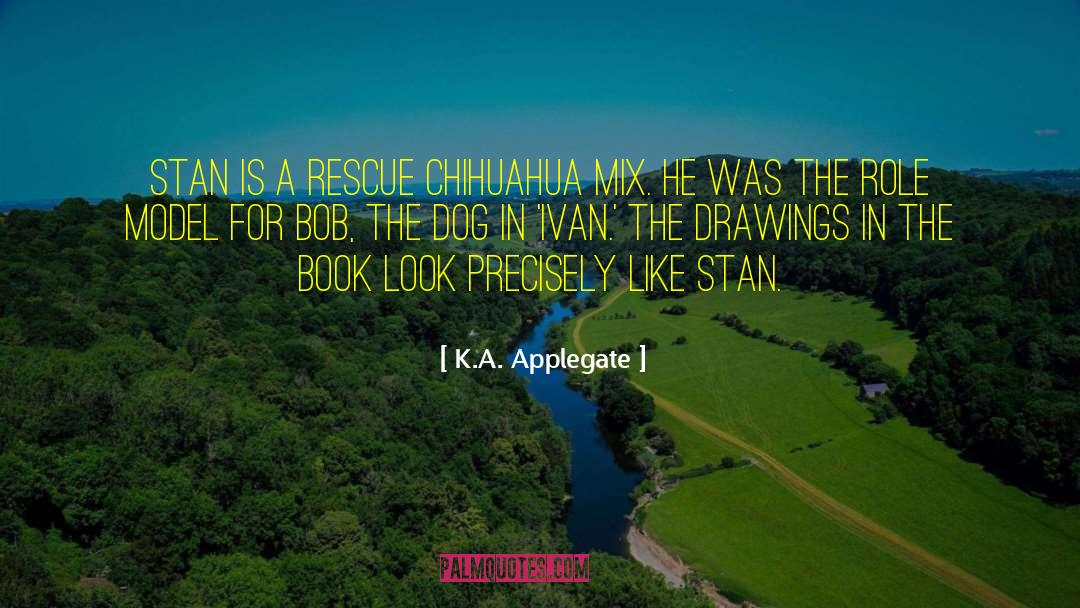 K.A. Applegate Quotes: Stan is a rescue Chihuahua