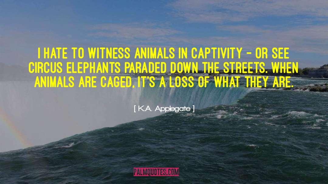 K.A. Applegate Quotes: I hate to witness animals