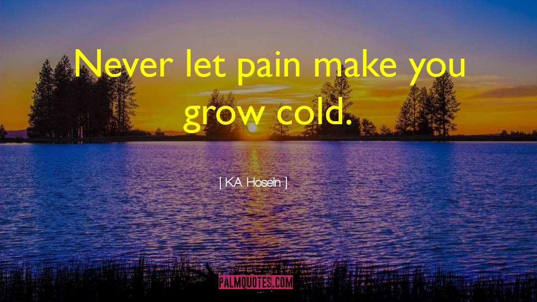 K.A. Hosein Quotes: Never let pain make you