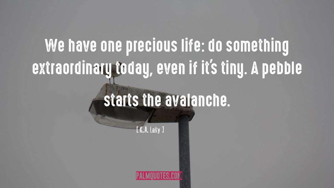 K.A. Laity Quotes: We have one precious life: