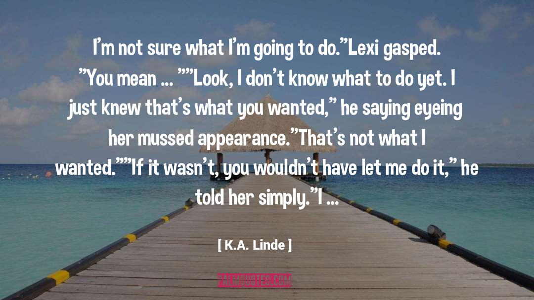 K.A. Linde Quotes: I'm not sure what I'm