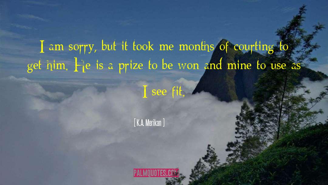 K.A. Merikan Quotes: I am sorry, but it