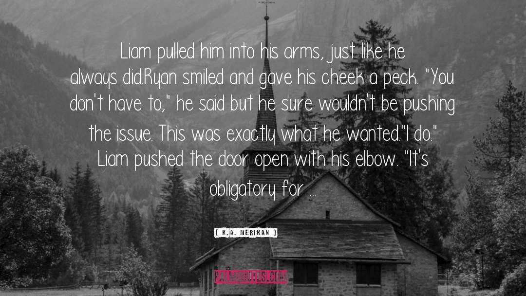 K.A. Merikan Quotes: Liam pulled him into his