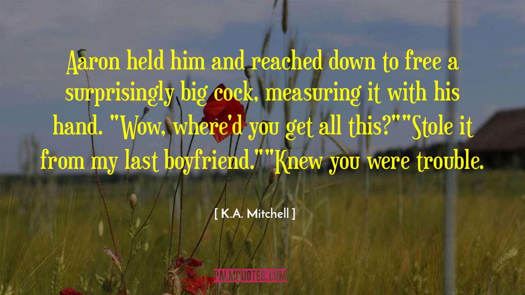 K.A. Mitchell Quotes: Aaron held him and reached