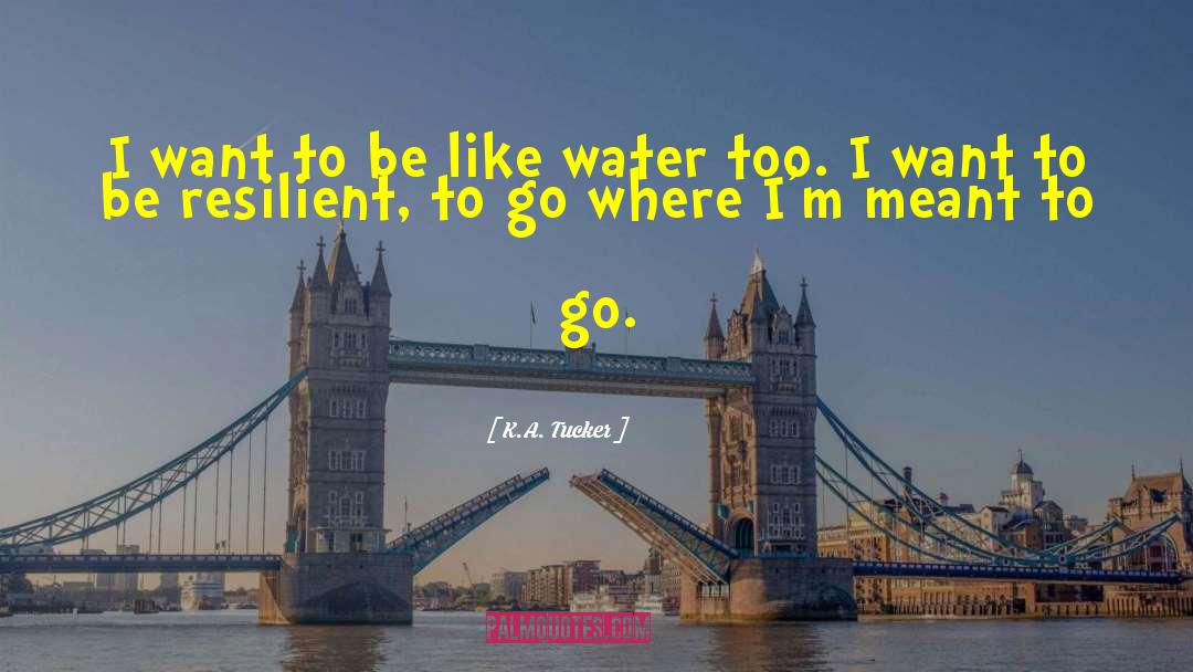 K.A. Tucker Quotes: I want to be like