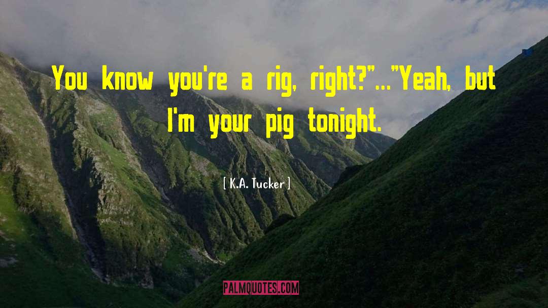 K.A. Tucker Quotes: You know you're a rig,