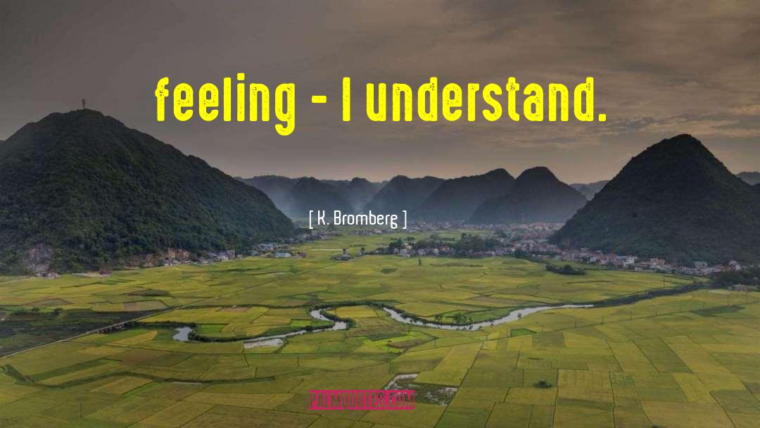 K. Bromberg Quotes: feeling - I understand.