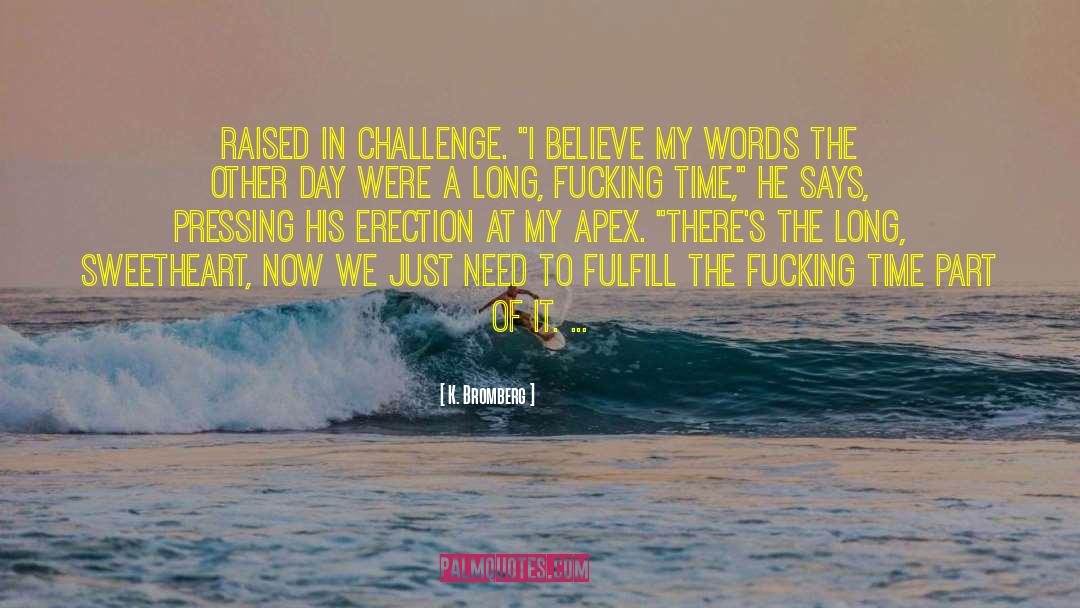 K. Bromberg Quotes: raised in challenge. 