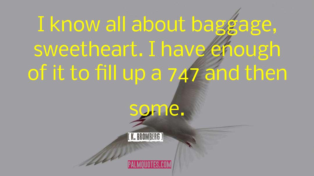 K. Bromberg Quotes: I know all about baggage,