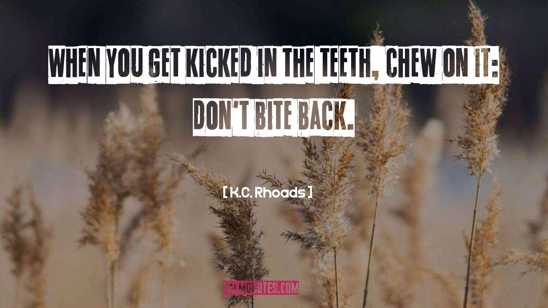 K.C. Rhoads Quotes: When you get kicked in