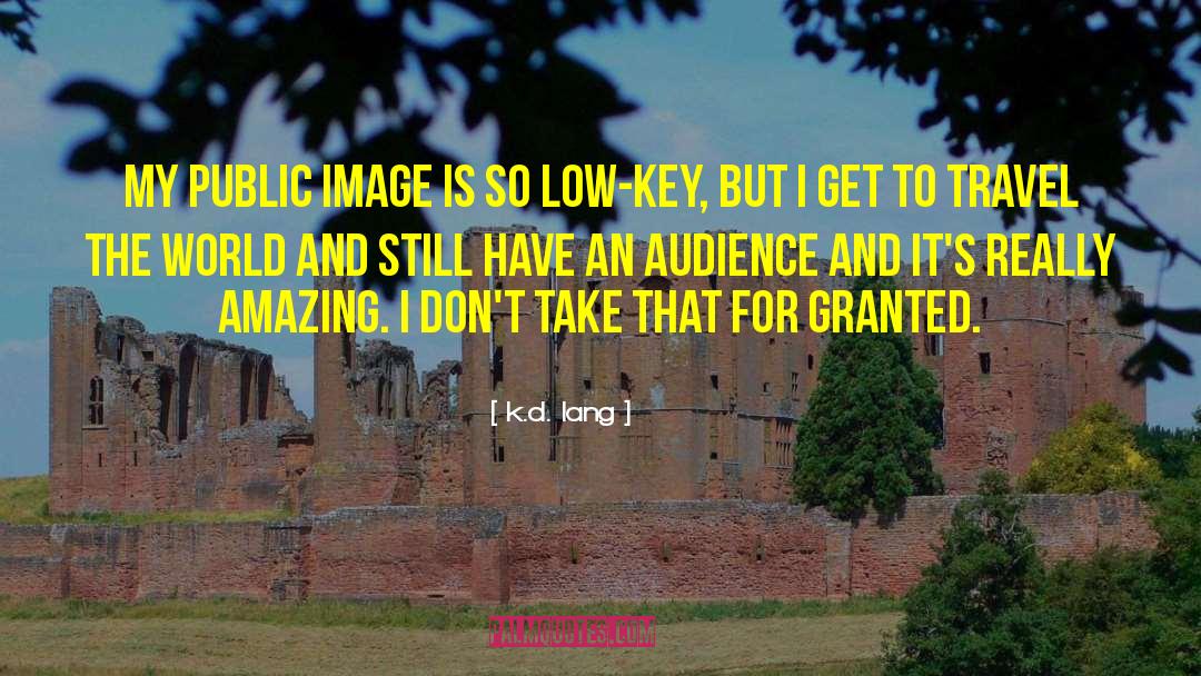 K.d. Lang Quotes: My public image is so