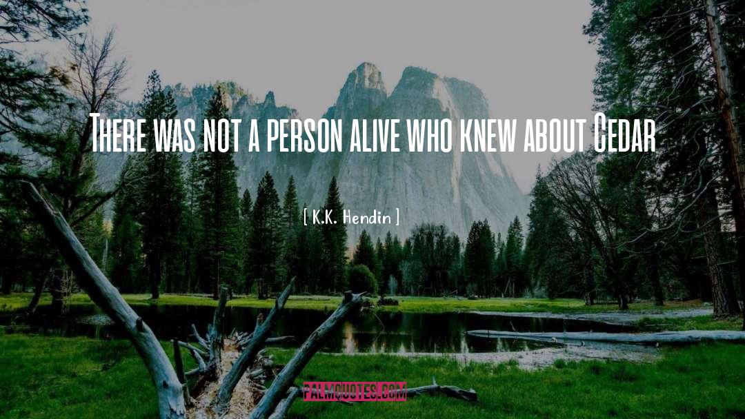 K.K. Hendin Quotes: There was not a person