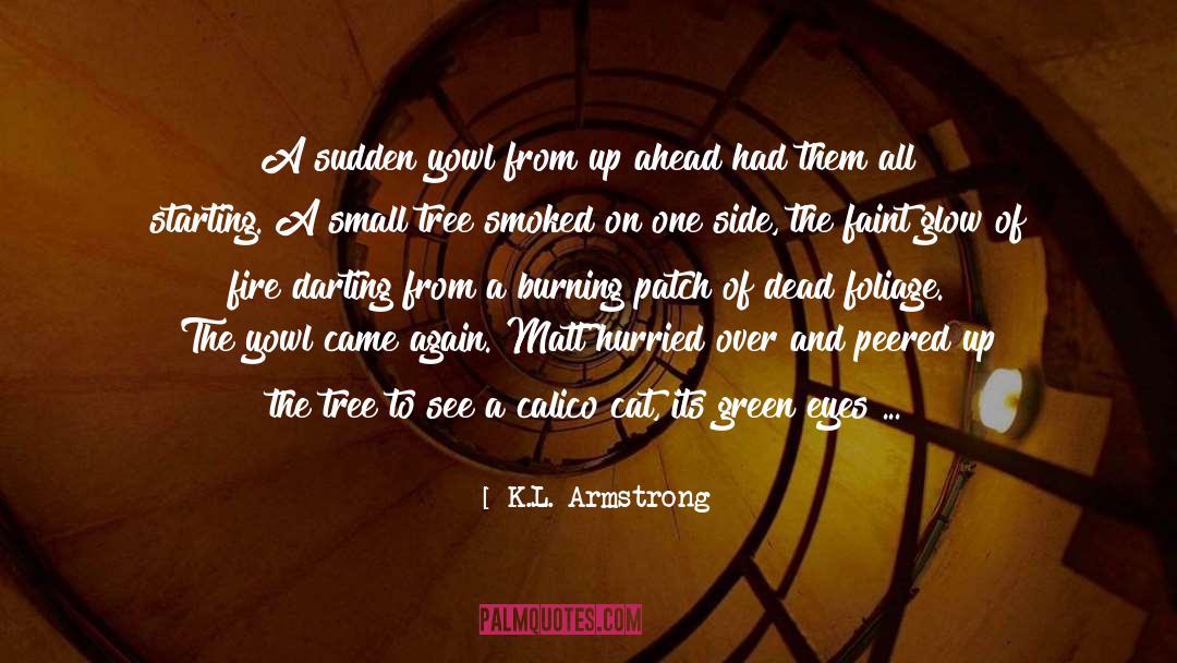 K.L. Armstrong Quotes: A sudden yowl from up
