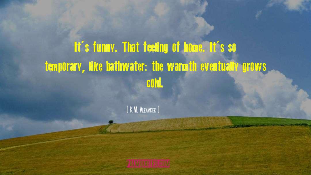 K.M. Alexander Quotes: It's funny. That feeling of