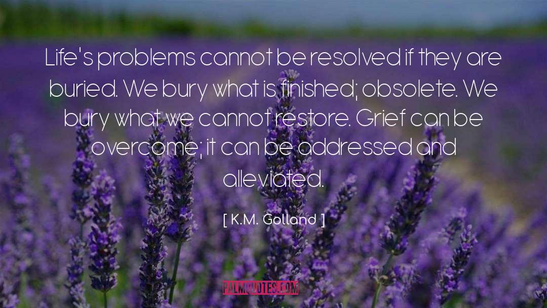 K.M. Golland Quotes: Life's problems cannot be resolved