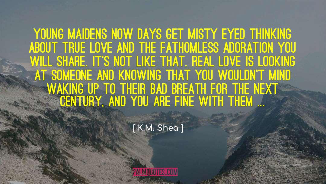 K.M. Shea Quotes: young maidens now days get