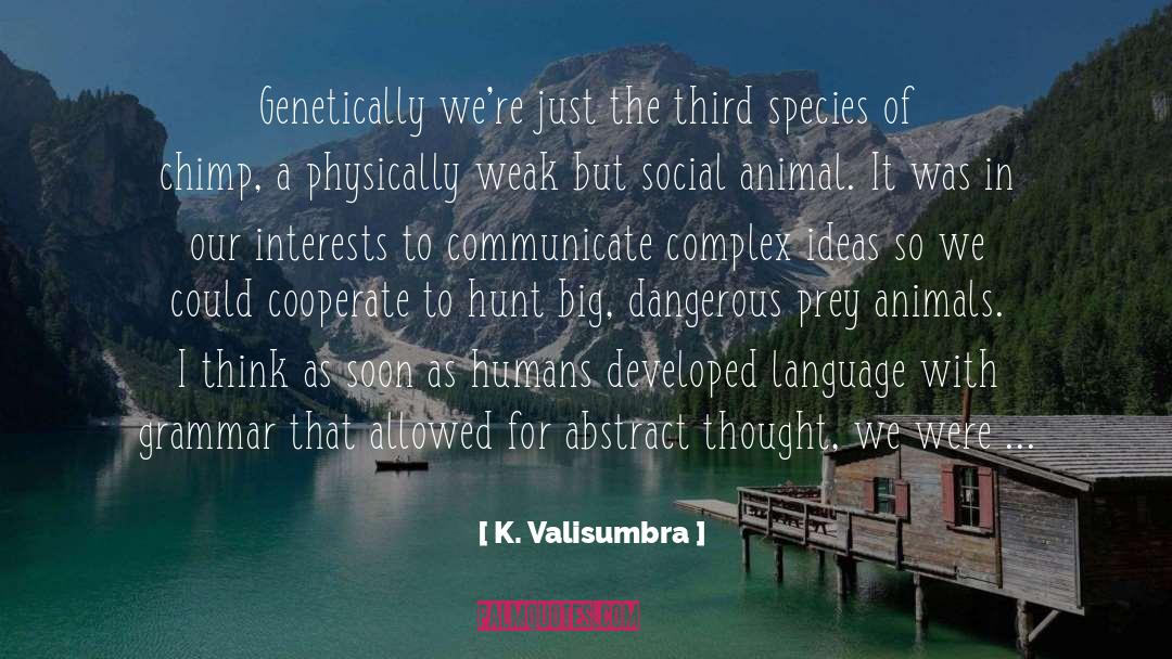 K. Valisumbra Quotes: Genetically we're just the third