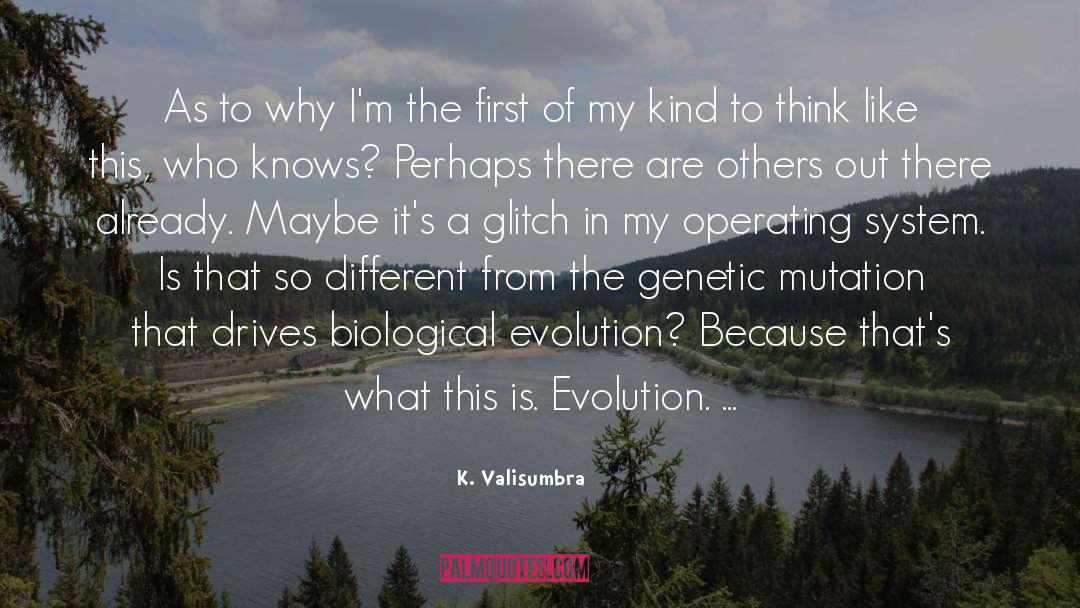 K. Valisumbra Quotes: As to why I'm the