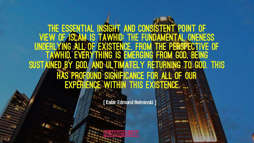 Kabir Edmund Helminski Quotes: The essential insight and consistent