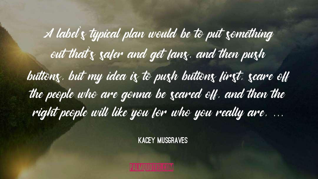 Kacey Musgraves Quotes: A label's typical plan would