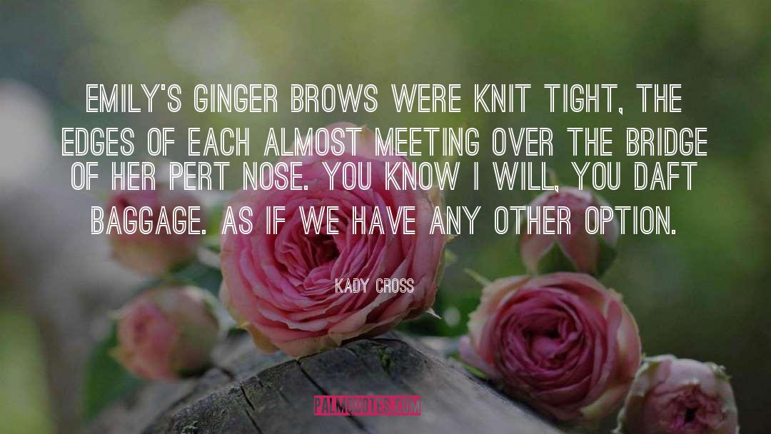 Kady Cross Quotes: Emily's ginger brows were knit