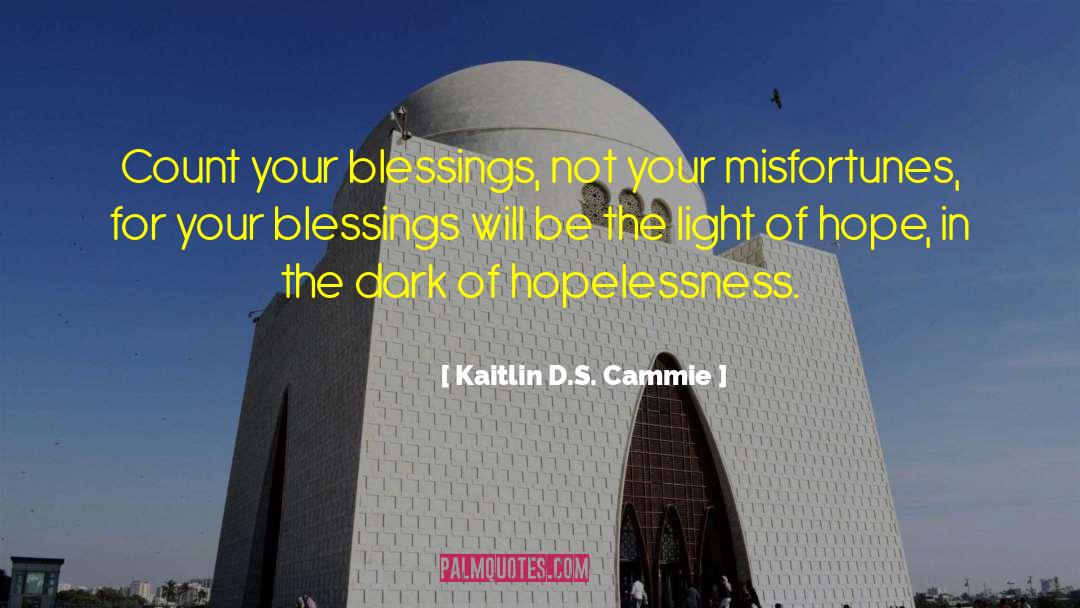 Kaitlin D.S. Cammie Quotes: Count your blessings, not your