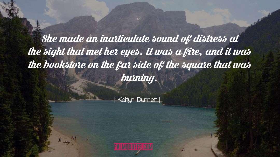 Kaitlyn Dunnett Quotes: She made an inarticulate sound