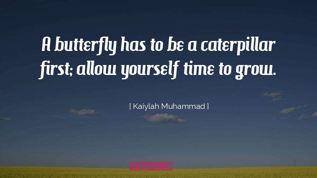 Kaiylah Muhammad Quotes: A butterfly has to be