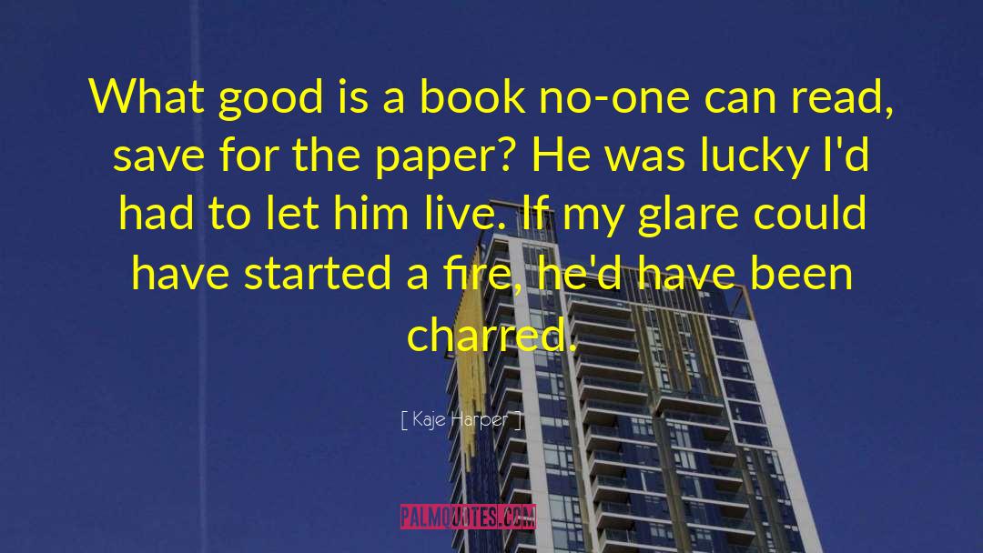 Kaje Harper Quotes: What good is a book