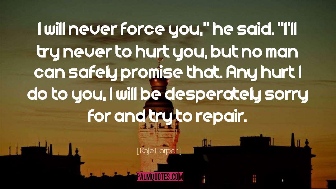 Kaje Harper Quotes: I will never force you,