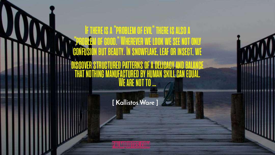 Kallistos Ware Quotes: If there is a 